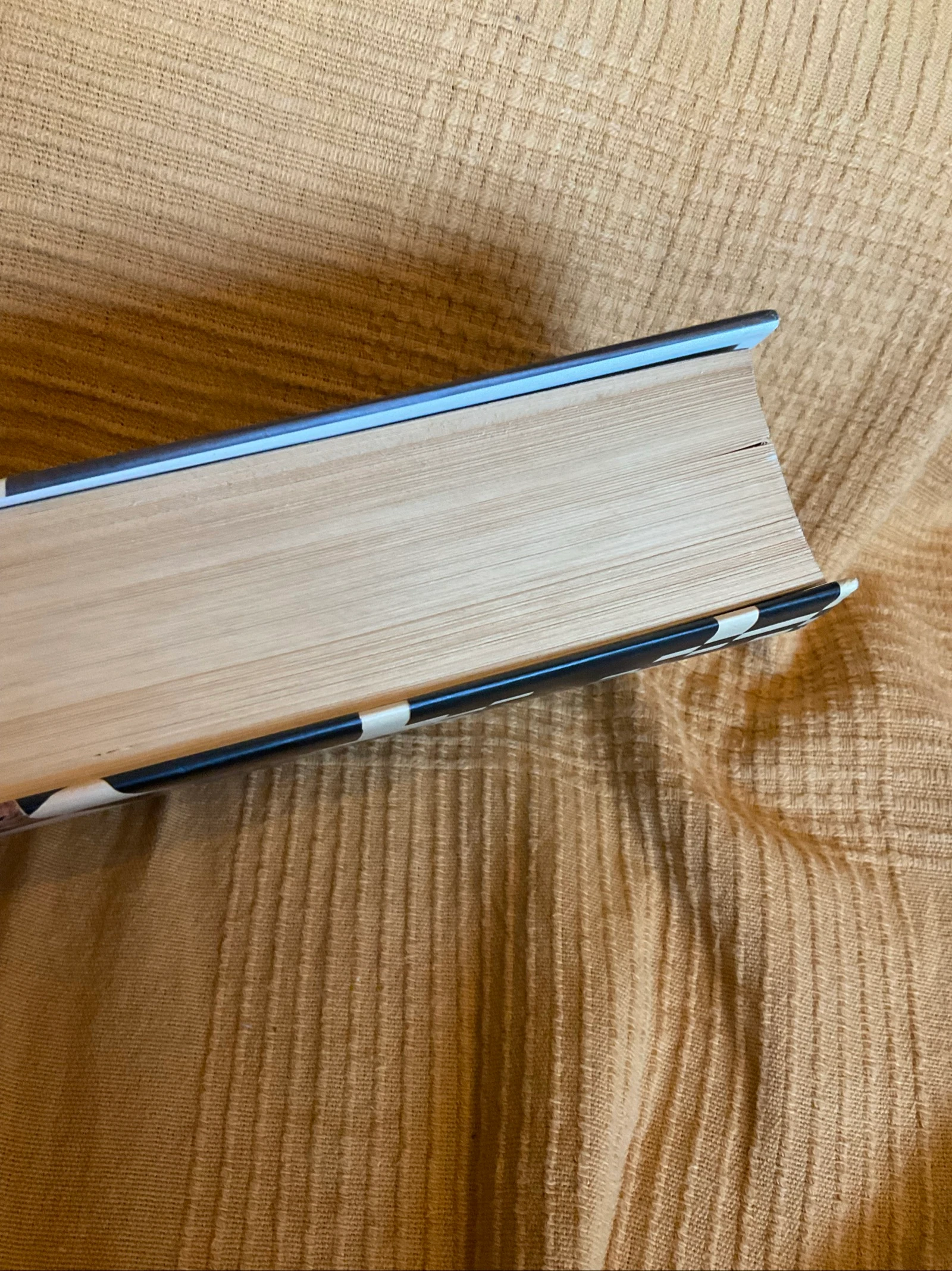 O oito – photo 2